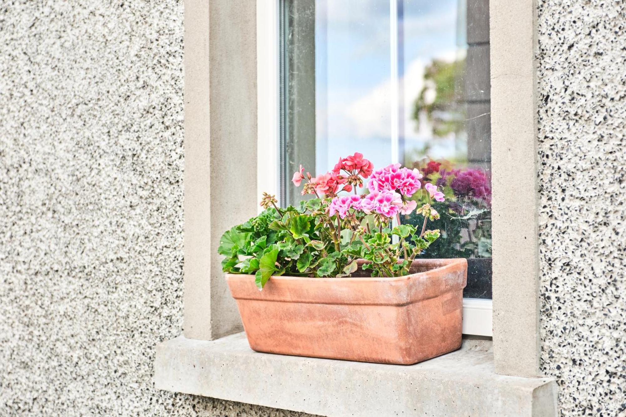 Appartement Mc Callstown House Ballyclare