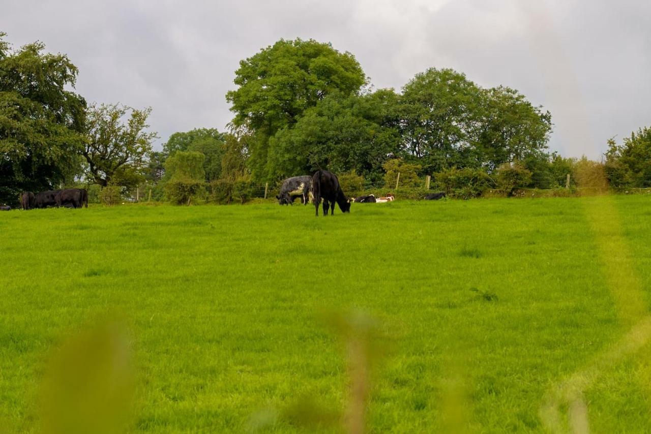 Mc Callstown House